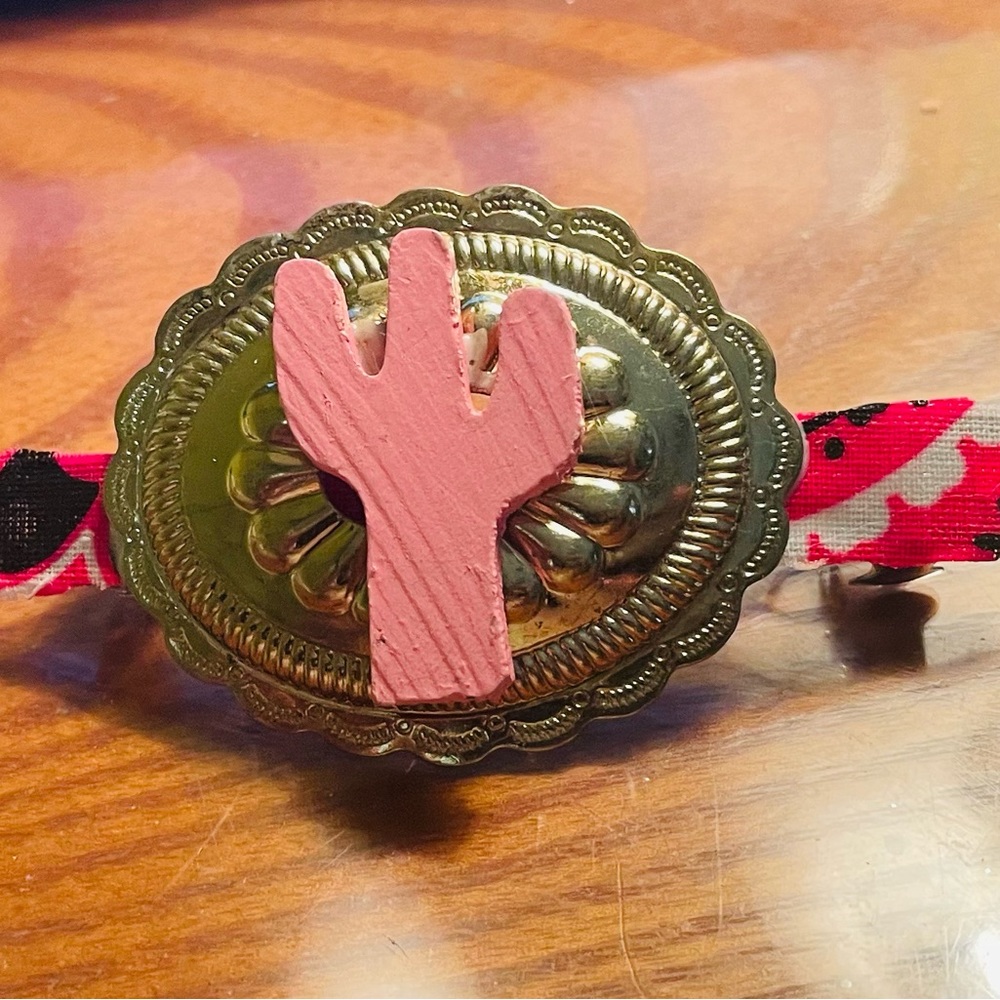 Western & Texas Hair Clips